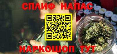 амф Новокубанск